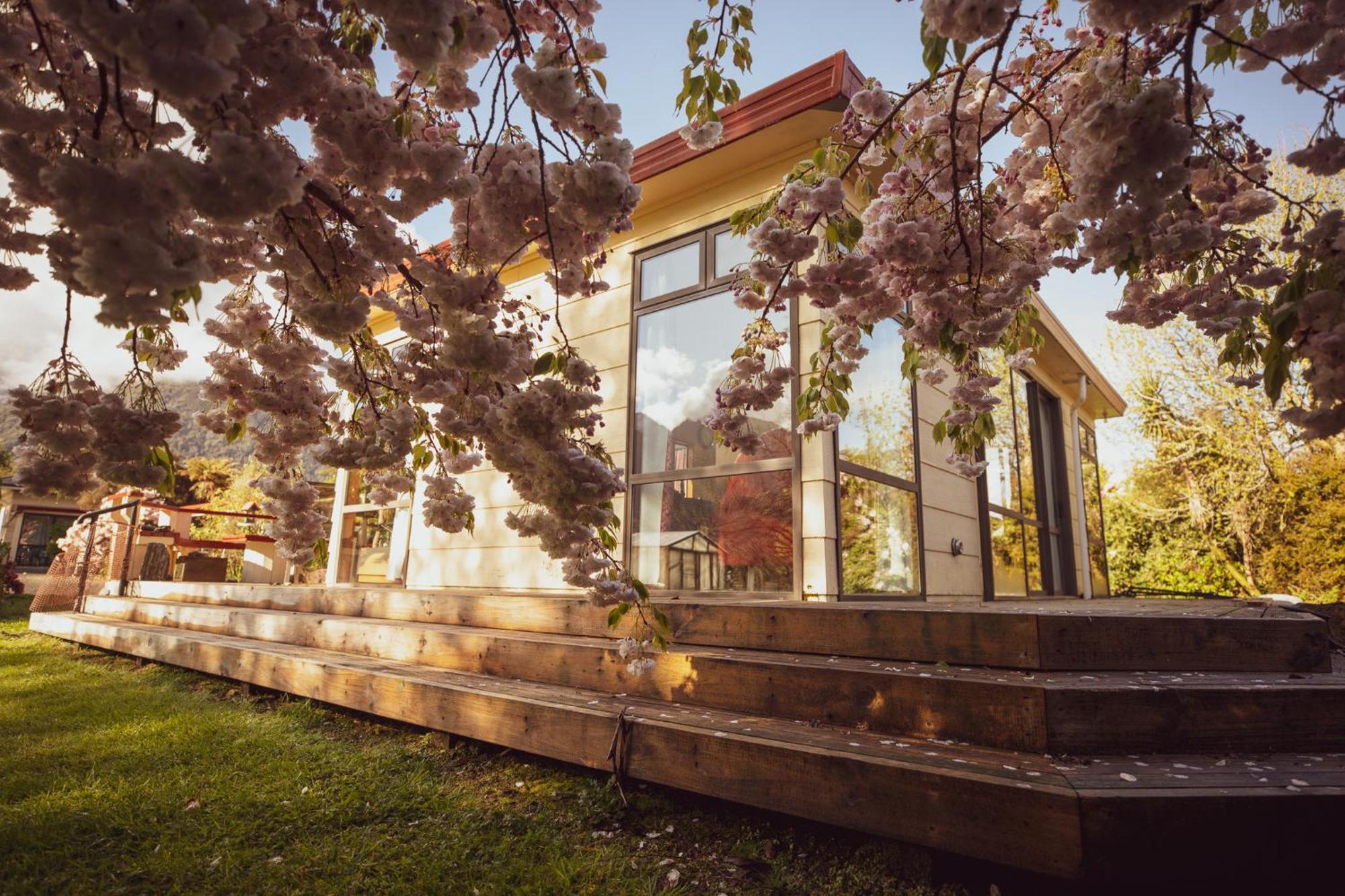 Ropatinis Bed & Breakfast Fox Glacier Exterior photo