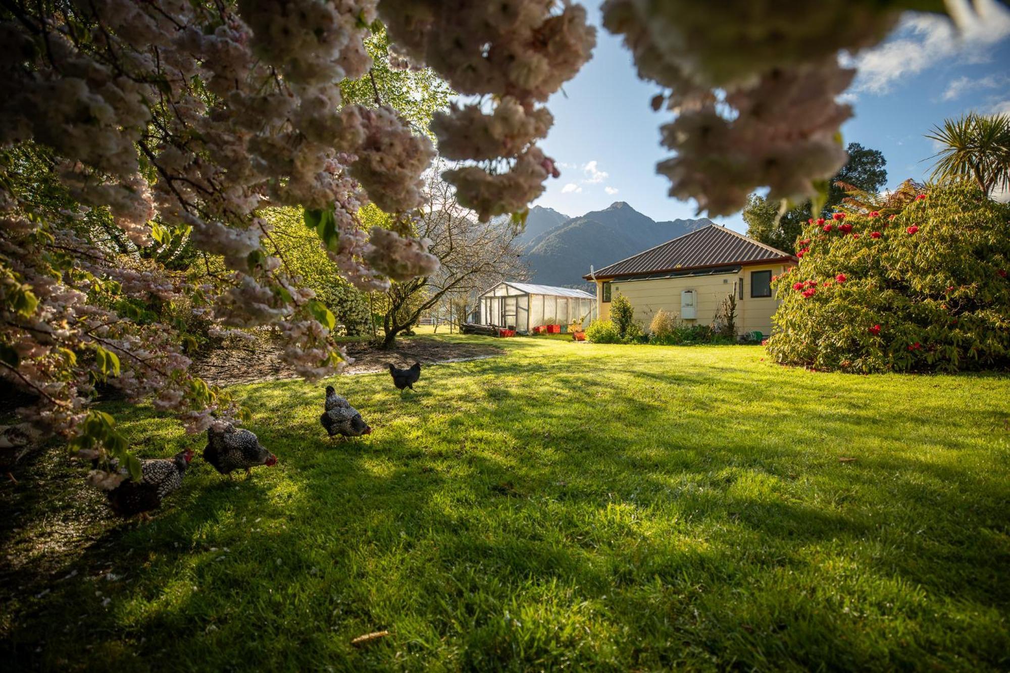 Ropatinis Bed & Breakfast Fox Glacier Exterior photo